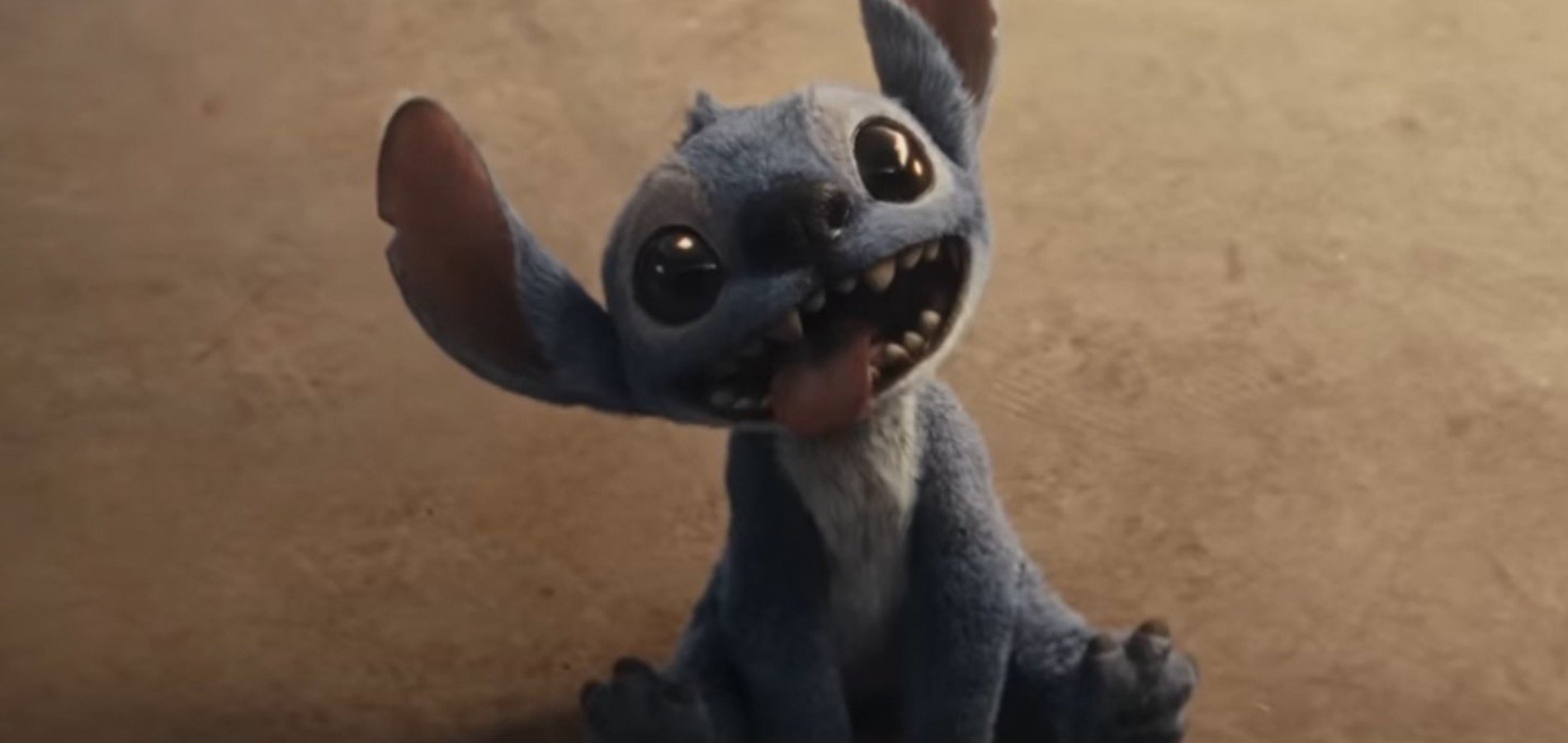 actualité Lilo et Stitch