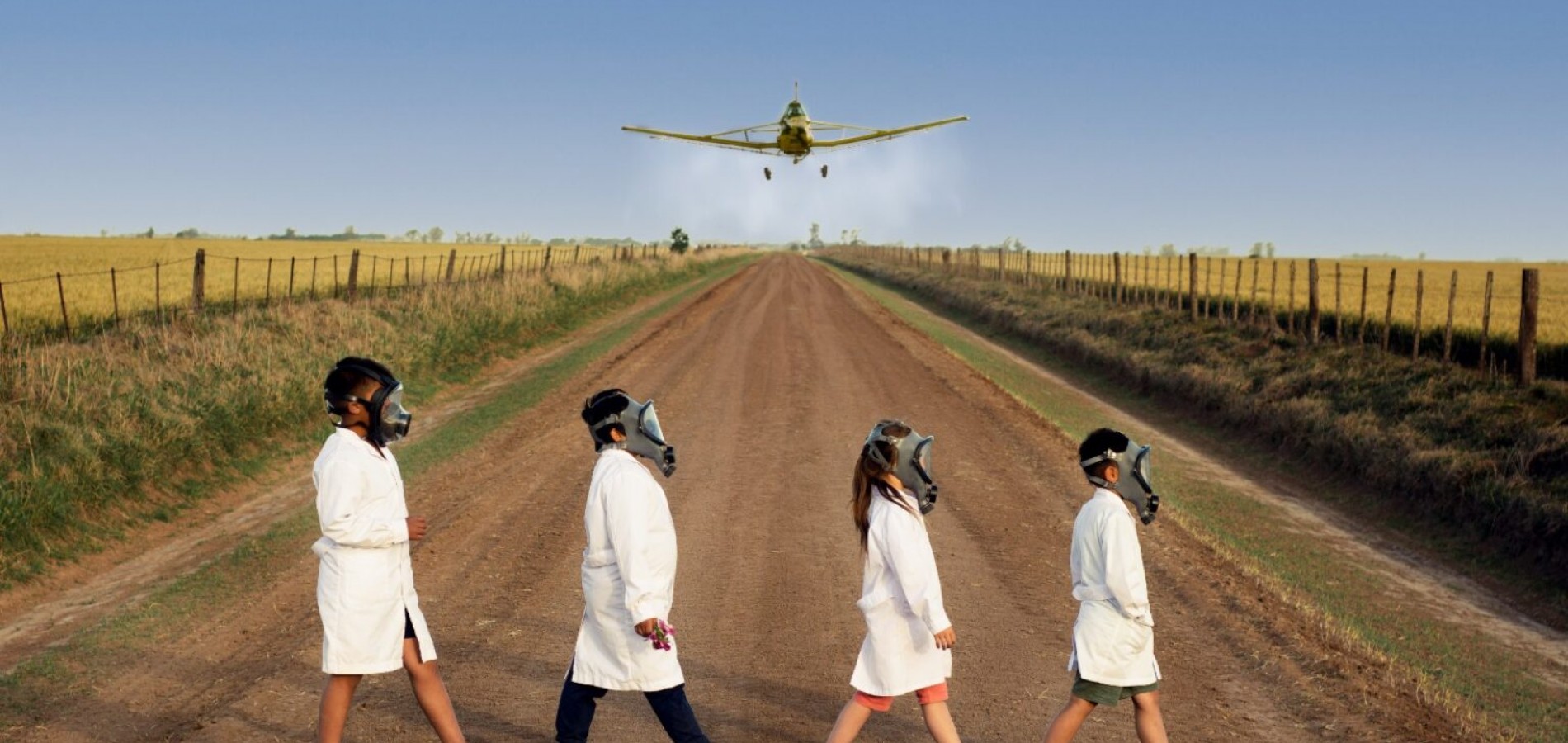 actualité Une chanson pour ma terre