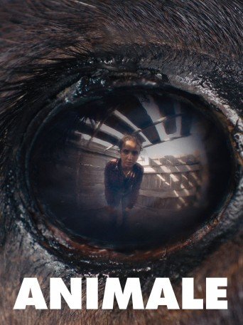 ANIMALE