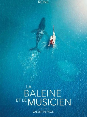 LA BALEINE ET LE MUSICIEN
