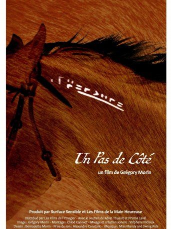 UN PAS DE CÔTÉ