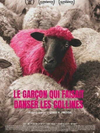 LE GARÇON QUI FAISAIT DANSER LES COLLINES